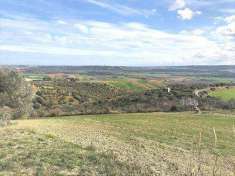 Foto Terreno Agricolo in Vendita, 1 Locale, 9670 mq, Guglionesi