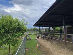 Foto Terreno agricolo in Vendita, 1070 mq (COLOGNO AL SERIO FORNASETT