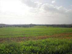 Foto Terreno agricolo in Vendita, 110000 mq (ROSIGNANO MARITTIMO VADA
