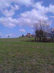 Foto Terreno agricolo in Vendita, 121280 mq (SAN SEVERINO MARCHE)