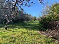 Foto Terreno agricolo in Vendita, 12975 mq (AVOLA EXTRAURBANO)