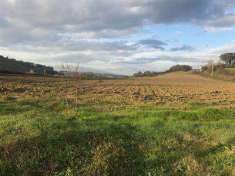 Foto Terreno agricolo in Vendita, 1500000 mq (BUONCONVENTO)