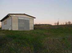 Foto Terreno agricolo in Vendita, 153000 mq (TUSCANIA)