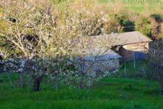 Foto Terreno agricolo in Vendita, 1700 mq (MONTEFIASCONE)