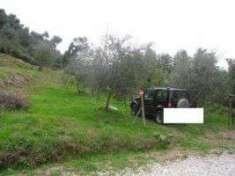 Foto Terreno agricolo in Vendita, 2000 mq (CAMAIORE)