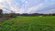 Foto Terreno agricolo in Vendita, 2200 mq (FIGLINE E INCISA VALDARNO)