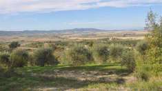 Foto Terreno agricolo in Vendita, 22000 mq (CASTELLINA MARITTIMA)