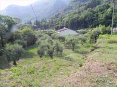 Foto Terreno agricolo in Vendita, 2300 mq (CAMAIORE LOMBRICI)