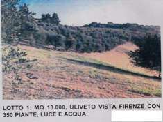 Foto Terreno agricolo in Vendita, 23000 mq (LASTRA A SIGNA MALMANTILE