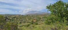 Foto Terreno agricolo in Vendita, 2500 mq (SANTA MARIA DI LICODIA)