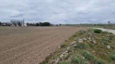 Foto Terreno agricolo in Vendita, 25000 mq (ALTAMURA)