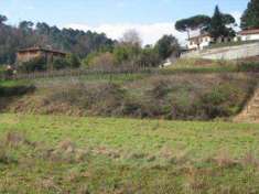 Foto Terreno agricolo in Vendita, 2800 mq (CAMAIORE)