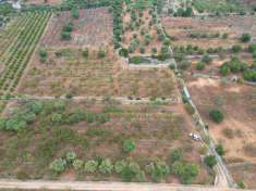 Foto Terreno agricolo in Vendita, 28785 mq (CASTELLANA GROTTE)