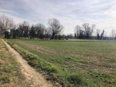 Foto Terreno agricolo in Vendita, 3000 mq (COLOGNO AL SERIO)