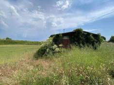 Foto Terreno agricolo in Vendita, 3200 mq (CAMAIORE LIDO DI CAMAIORE)