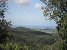 Foto Terreno agricolo in Vendita, 33880 mq (CASTELLINA MARITTIMA)