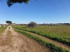 Foto Terreno agricolo in Vendita, 35000 mq (APRILIA SELCIATELLA)