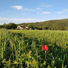 Foto Terreno agricolo in Vendita, 370000 mq (CIVITELLA PAGANICO)