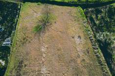 Foto Terreno agricolo in Vendita, 4000 mq (CERTALDO)