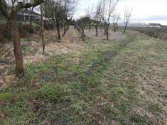 Foto Terreno agricolo in Vendita, 4000 mq (CHIOGGIA SANTANNA)