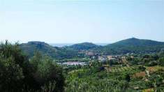 Foto Terreno agricolo in Vendita, 4040 mq (MONTE ARGENTARIO PORTO ERC