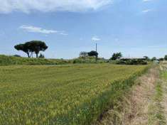 Foto Terreno agricolo in Vendita, 4200 mq (CAMAIORE LIDO DI CAMAIORE)