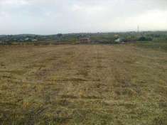 Foto Terreno agricolo in Vendita, 4900 mq (MENFI LIDO FIORI)