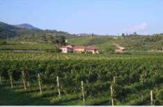 Foto Terreno agricolo in Vendita, 4990 mq (ARCOLE VOLPINO)