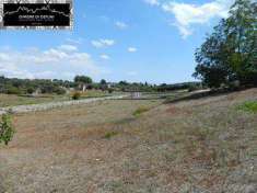 Foto Terreno agricolo in Vendita, 5000 mq (OSTUNI)