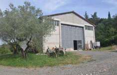 Foto Terreno agricolo in Vendita, 685000 mq (POMARANCE)