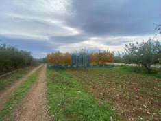 Foto Terreno agricolo in Vendita, 7000 mq (MODUGNO)