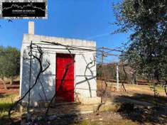 Foto Terreno agricolo in Vendita, 7000 mq (OSTUNI)