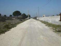 Foto Terreno agricolo in Vendita, 7280 mq (CRISPIANO)