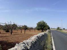 Foto Terreno agricolo in Vendita, 7284 mq (POLIGNANO A MARE CHIESA NU