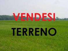 Foto Terreno agricolo in Vendita, 7940 mq (CERISANO)