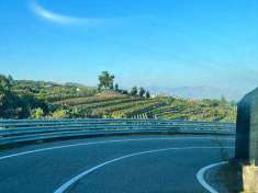 Foto Terreno agricolo in Vendita, 8000 mq (MILO)