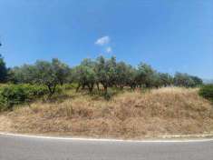 Foto Terreno agricolo in Vendita, 8755 mq (MONTECORVINO ROVELLA)