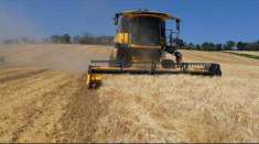 Foto Terreno agricolo in Vendita, 97000 mq (MONTECAROTTO)