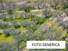 Foto Terreno agricolo in vendita a Agnano - San Giuliano Terme 700 mq  Rif: 1142203