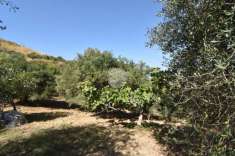 Foto Terreno agricolo in vendita a Agropoli