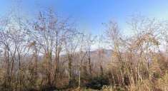 Foto Terreno agricolo in vendita a Avigliana