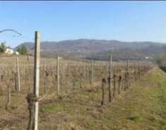 Foto Terreno agricolo in Vendita a Brendola