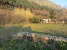 Foto Terreno agricolo in vendita a Castel San Giorgio