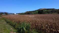 Foto Terreno agricolo in vendita a Castelfidardo