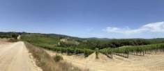 Foto Terreno agricolo in vendita a Castelnuovo Berardenga 1000000 mq  Rif: 1287145