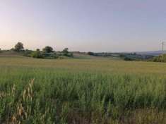 Foto Terreno agricolo in vendita a Colle di Val d'Elsa 10000 mq  Rif: 1278763