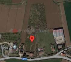 Foto Terreno agricolo in vendita a Cologna Veneta
