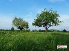 Foto Terreno agricolo in Vendita a Corbetta via Parini