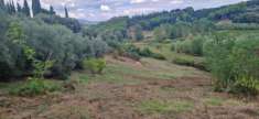 Foto Terreno agricolo in vendita a Crespina - Crespina Lorenzana 20000 mq  Rif: 1277662