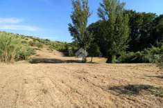 Foto Terreno agricolo in vendita a Fonte Nuova